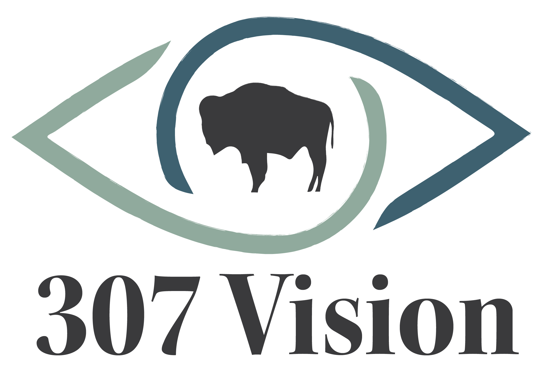 307 Vision logo