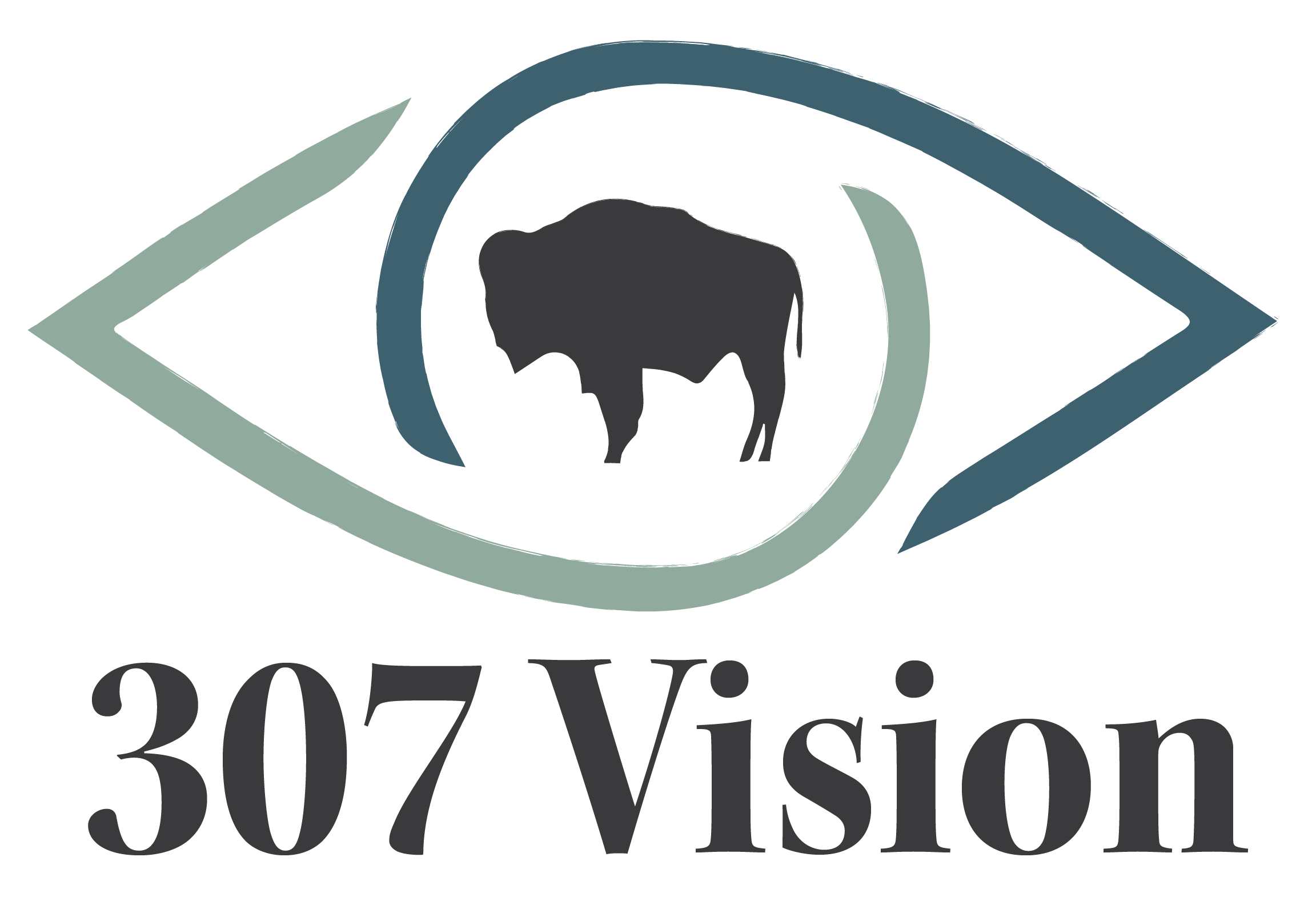 307 Vision Logo 307 Vision logo