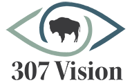 307 Vision