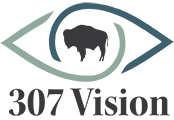 307 Vision logo